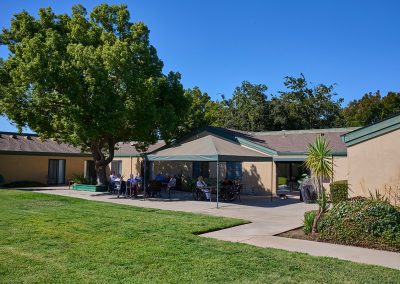 Grassy area and a patio at Vintage Faire